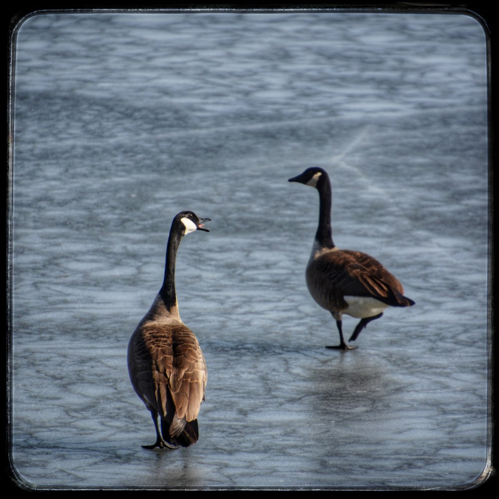 Saturday Songs – Hold On, I’m&nbsp;Coming