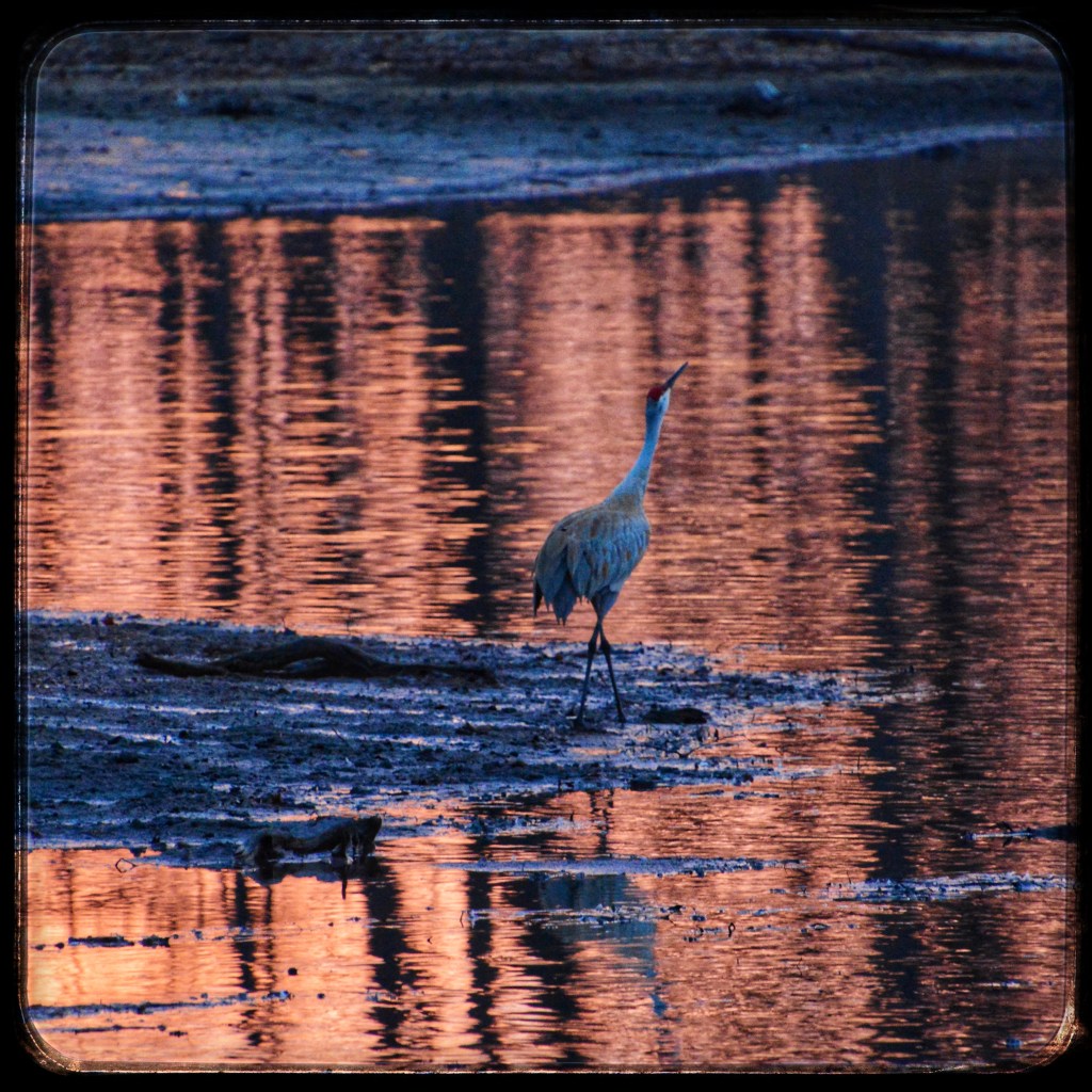 The Week In Seven&nbsp;Photos