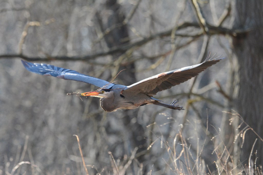 Spring Mornings And Good&nbsp;Music