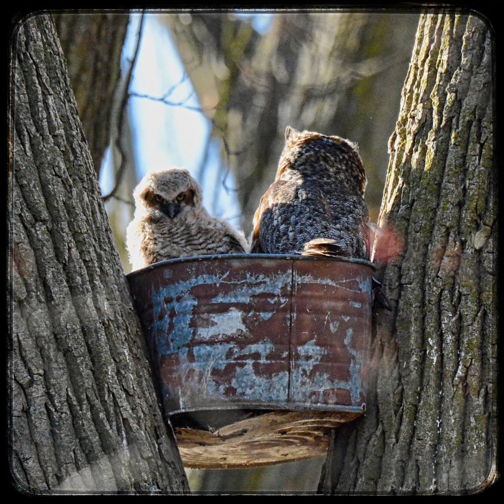 Perfect Spring Morning And Good&nbsp;Music