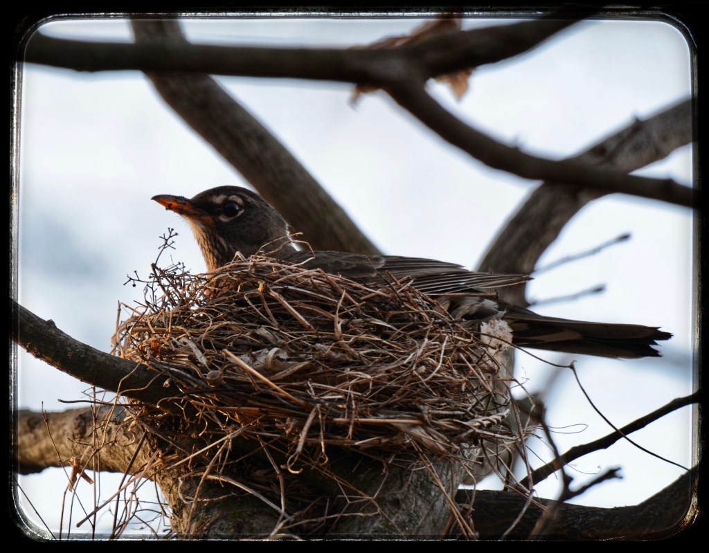 Spring Mornings And Good TV&nbsp;Shows/Books