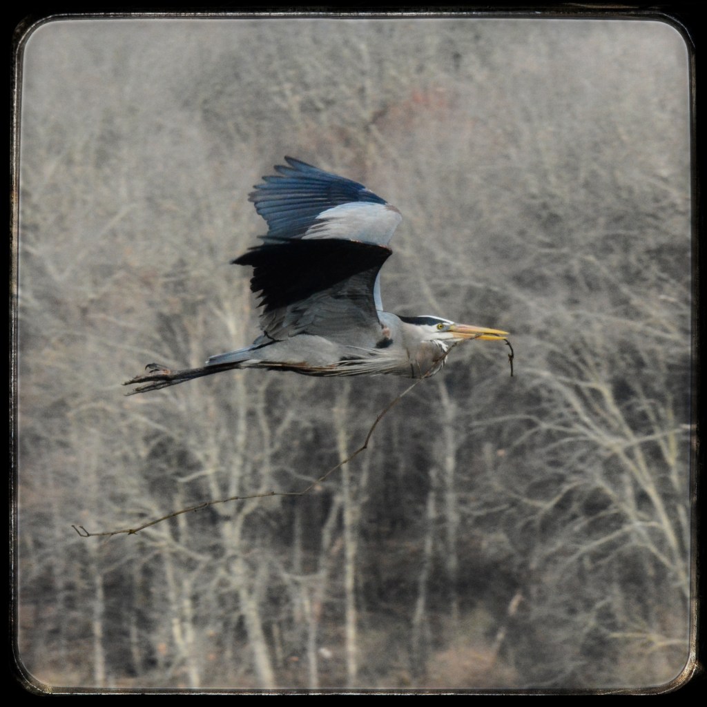 The Week In Seven&nbsp;Photos