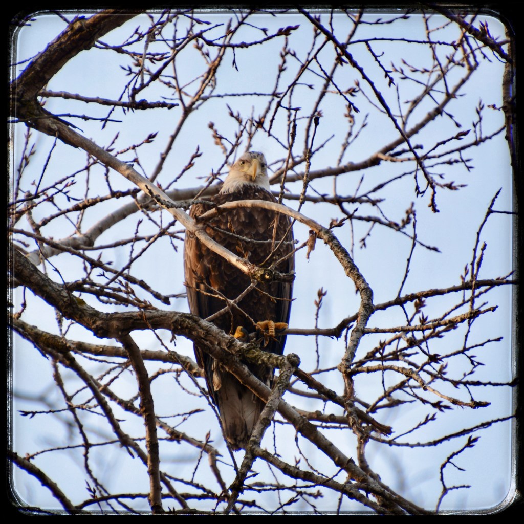 Spring Mornings And Good&nbsp;Stories