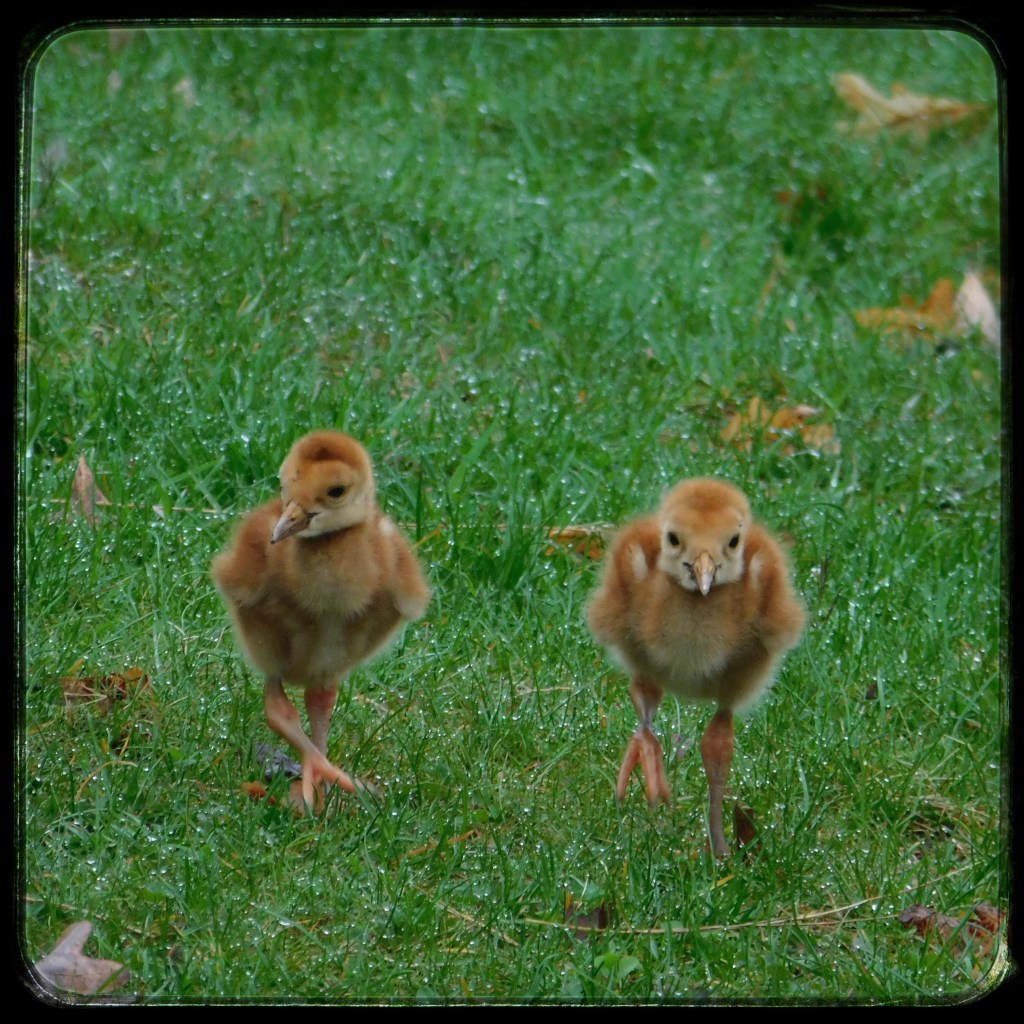 Favorites Of The&nbsp;Week