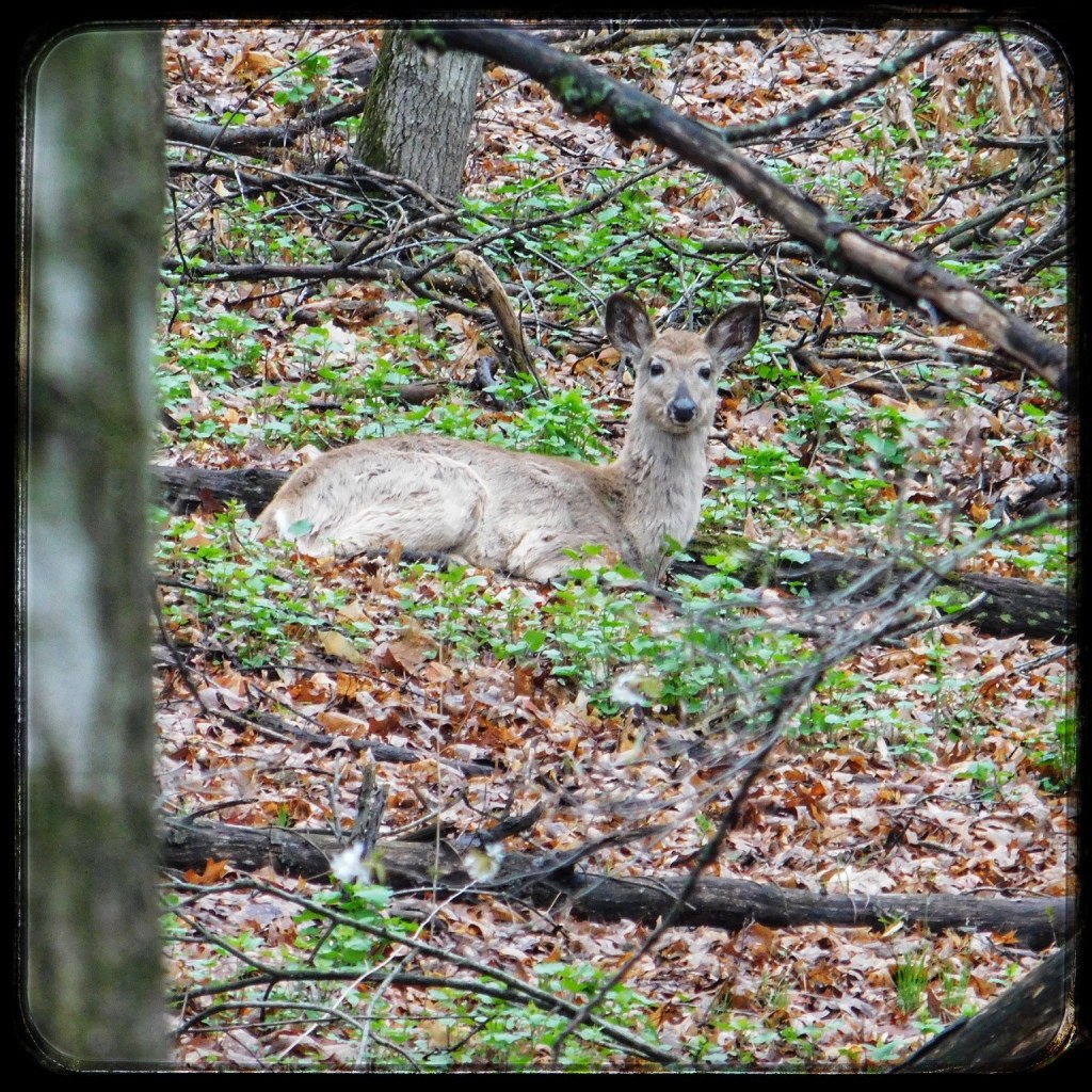 Spring Mornings And Good&nbsp;Music