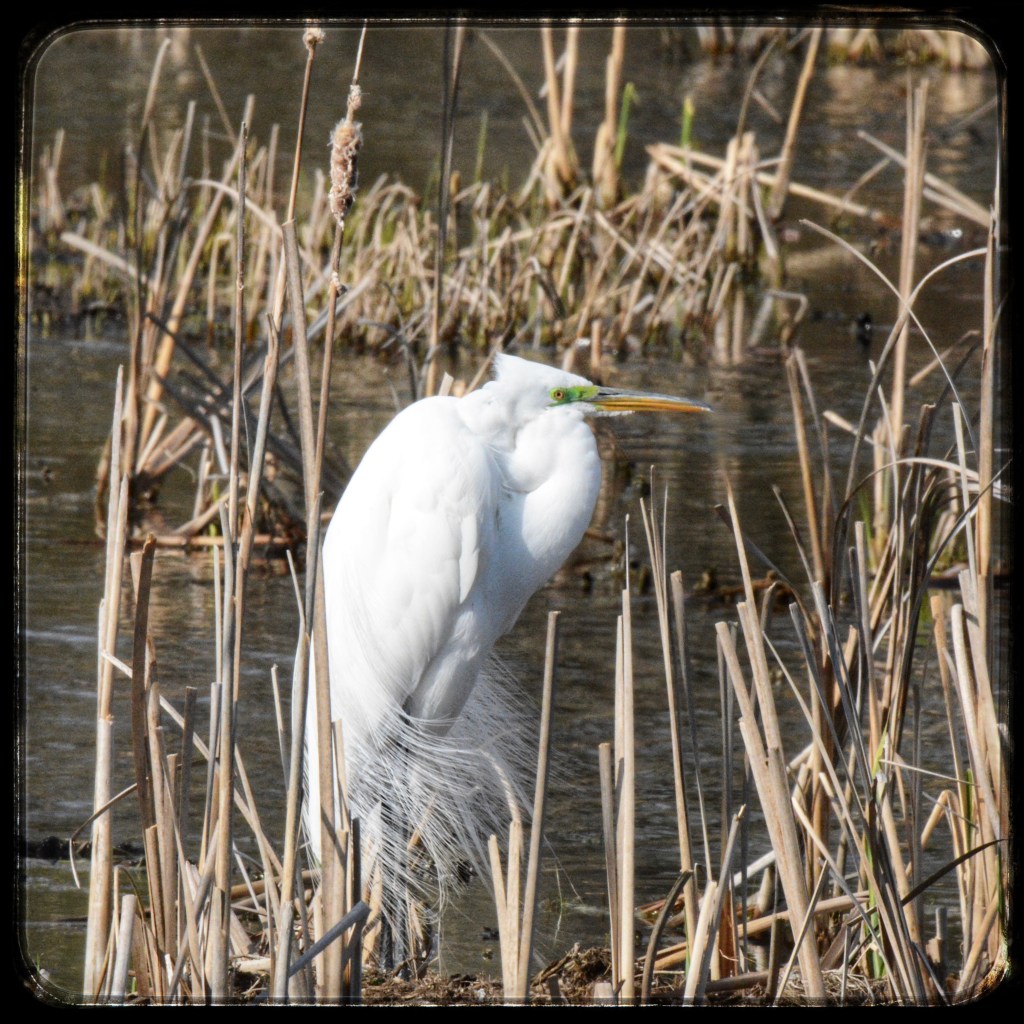 Spring Mornings And Good TV&nbsp;Shows