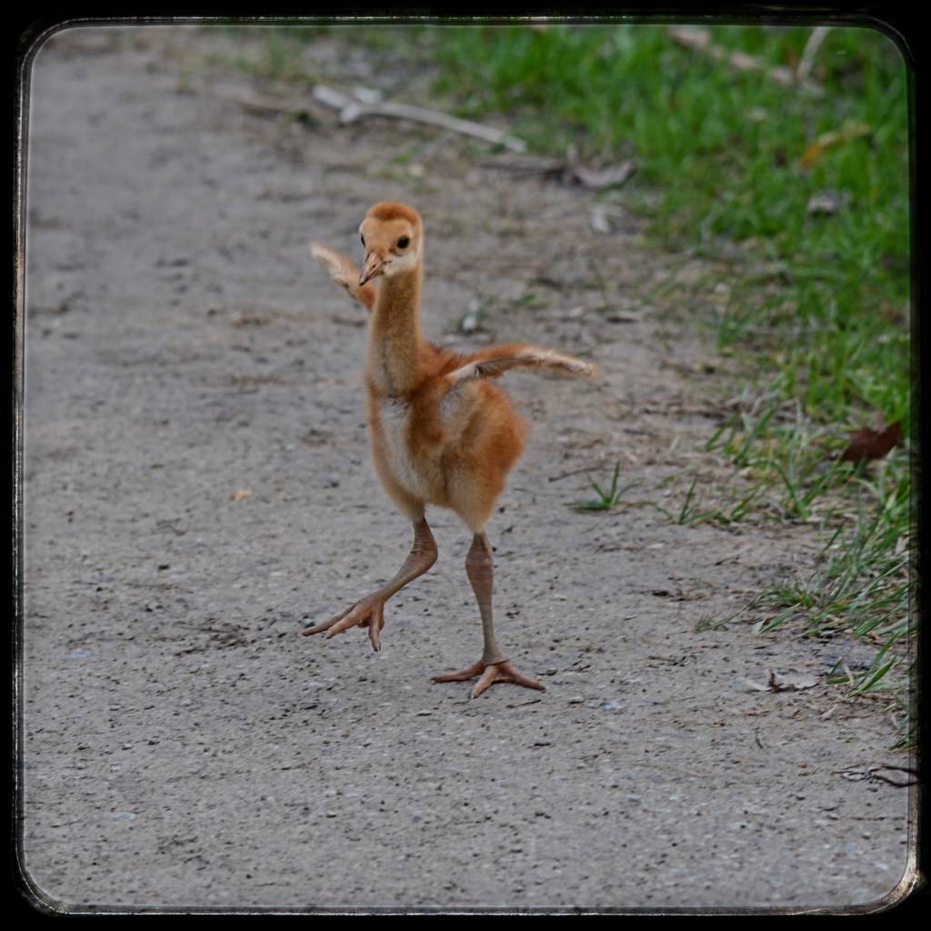 Spring Mornings And Good&nbsp;Music