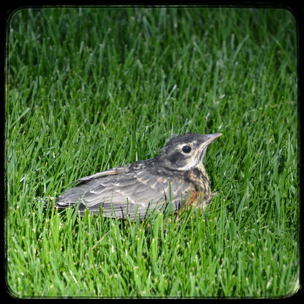 Spring Mornings And Good TV&nbsp;Shows