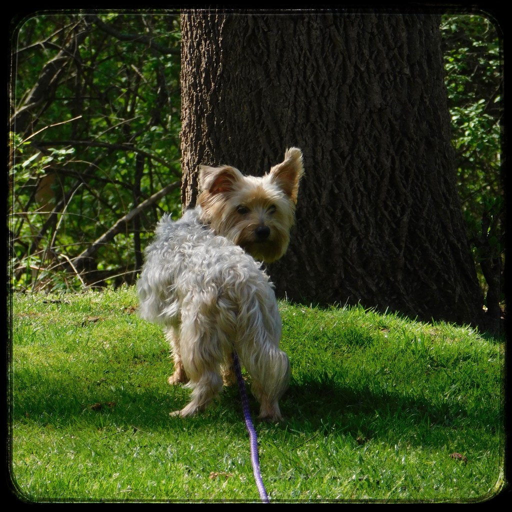 Spring Mornings And Good&nbsp;Music