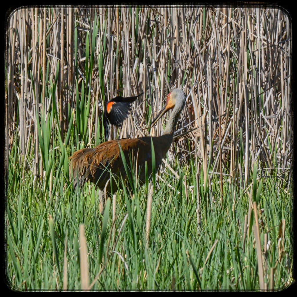 That’s Just Bloody&nbsp;Rude!