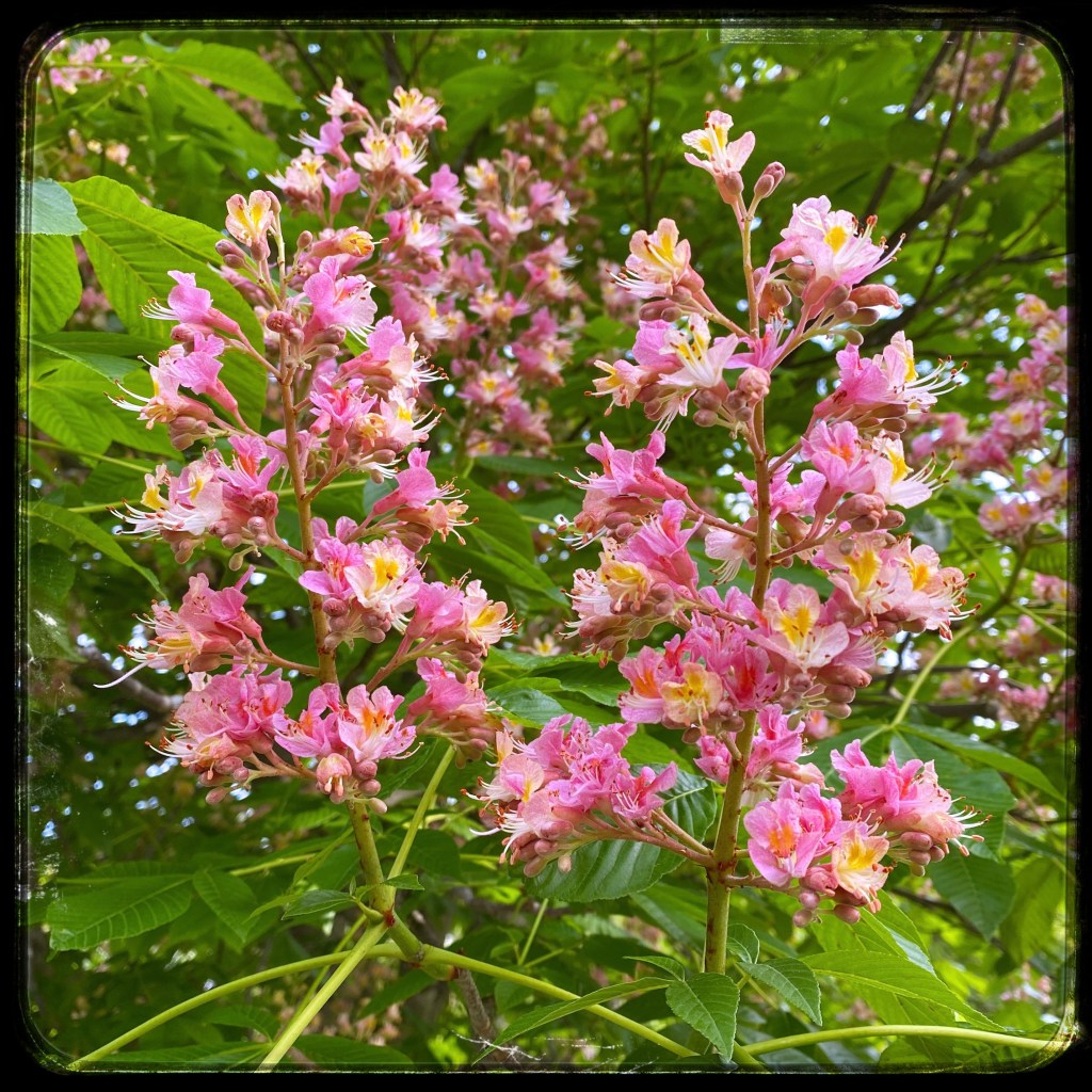 Spring Mornings And Good TV&nbsp;Shows