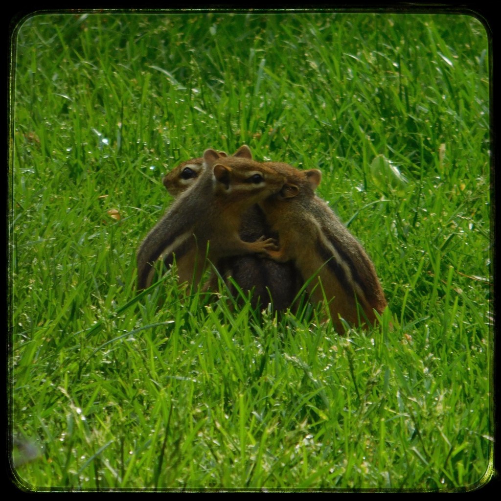 What This World Needs Is A Group&nbsp;Hug