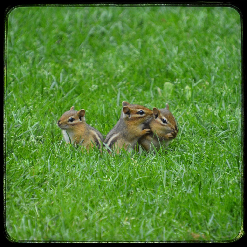 Do You Want To Know A&nbsp;Secret