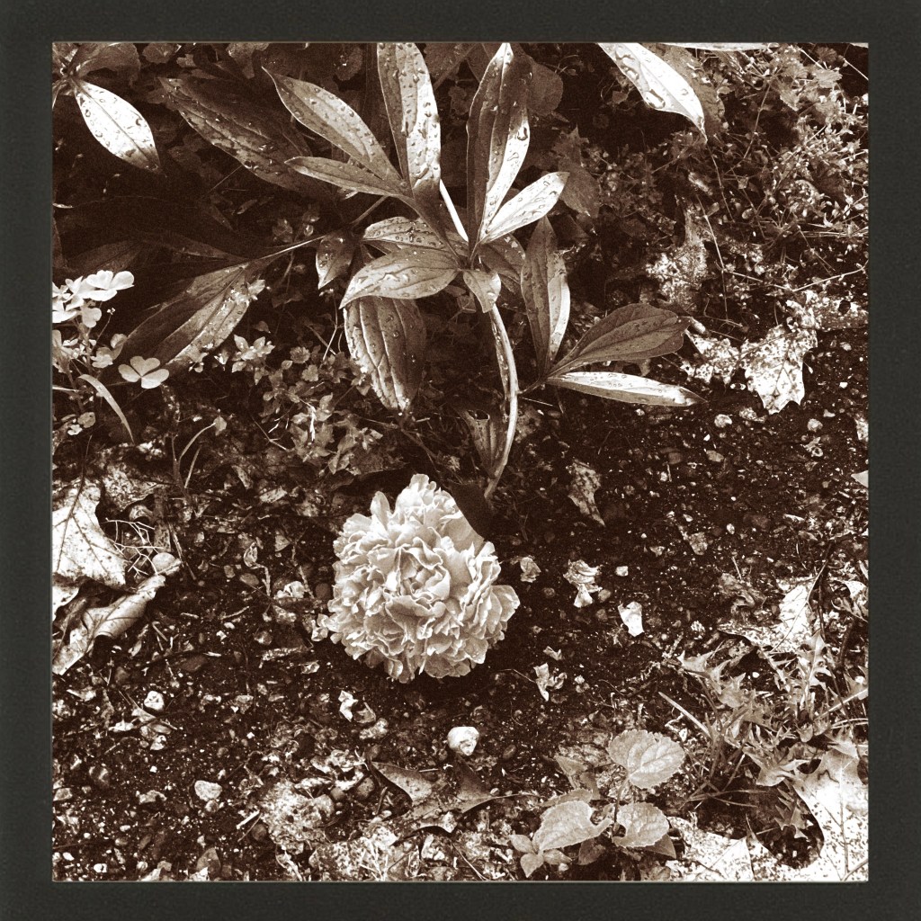 Spring Mornings And Good&nbsp;Music