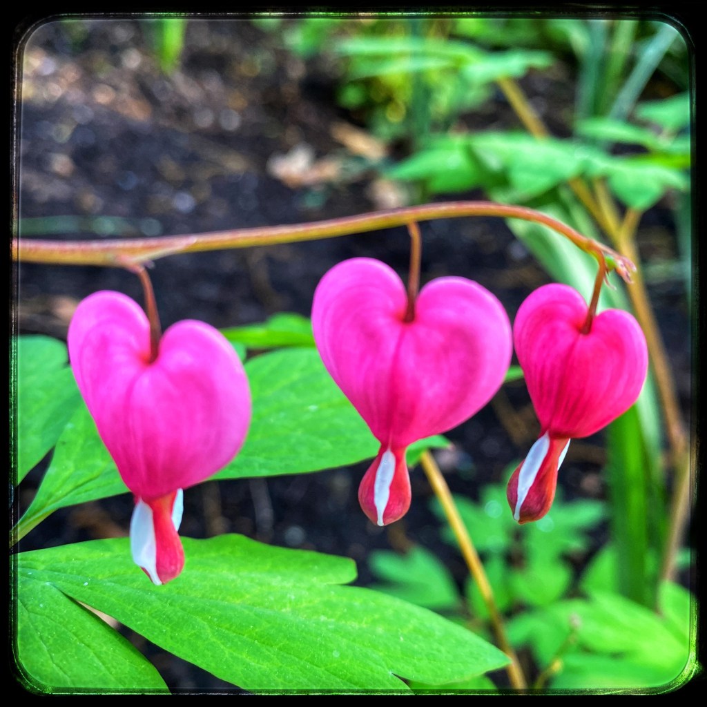 The Week In Seven&nbsp;Photos