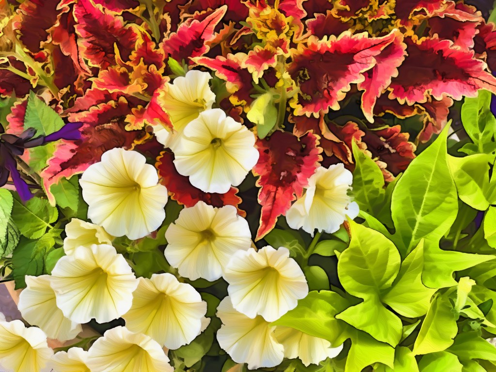 Cover Me In&nbsp;Sunshine