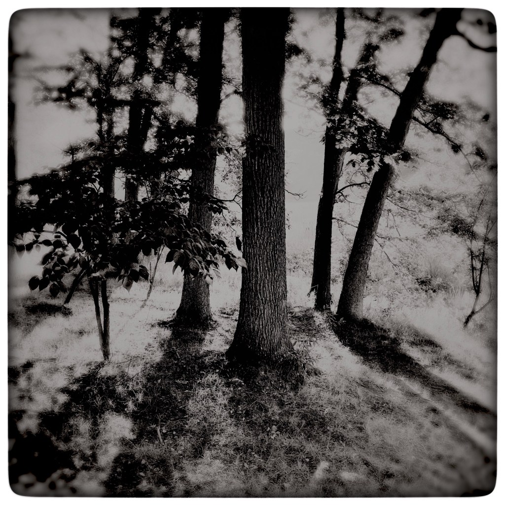 The Week In Seven&nbsp;Photos