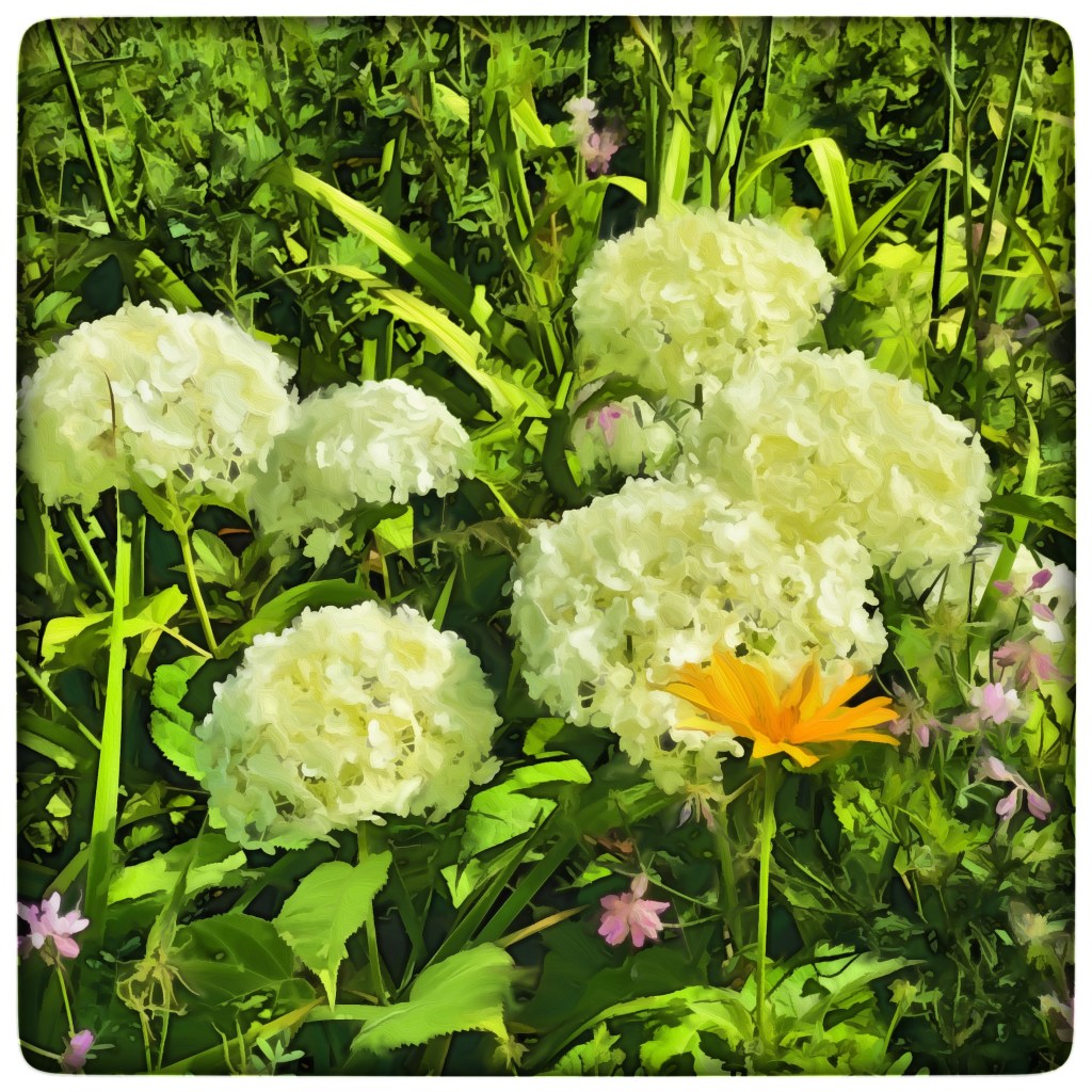 Summer Mornings And Good TV&nbsp;Shows