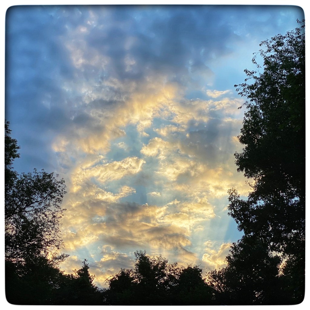 Favorites Of The&nbsp;Week