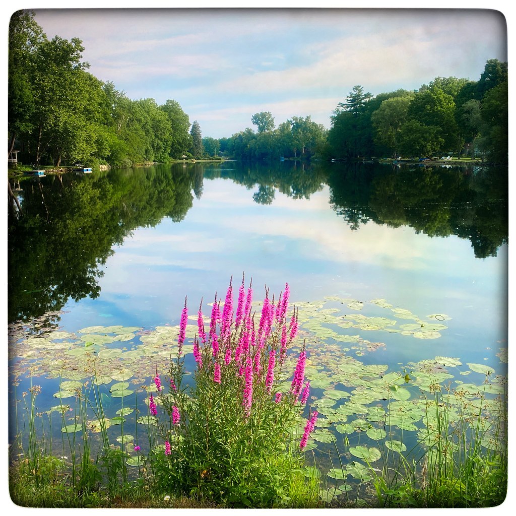 Favorites Of The&nbsp;Week