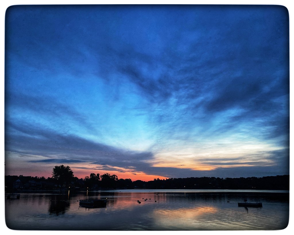 Favorites Of The&nbsp;Week