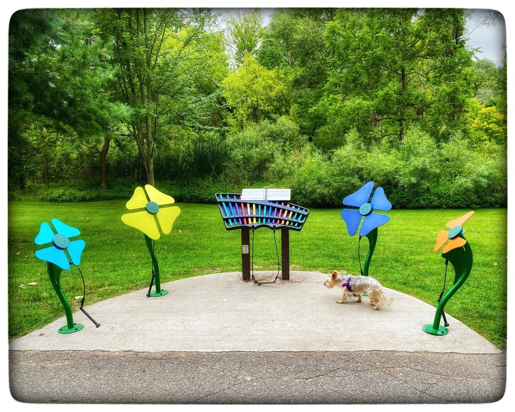 Summer Mornings And Good&nbsp;Music