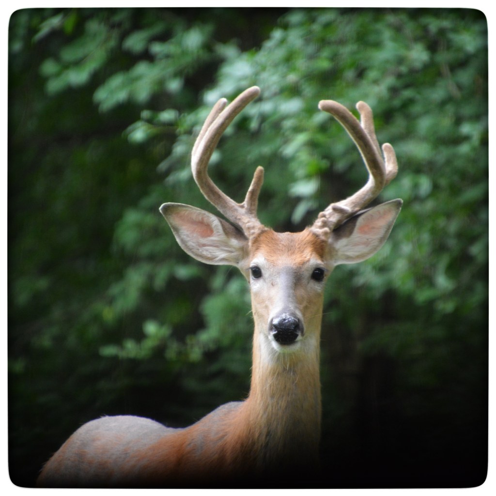 Summer Days And Good&nbsp;Music