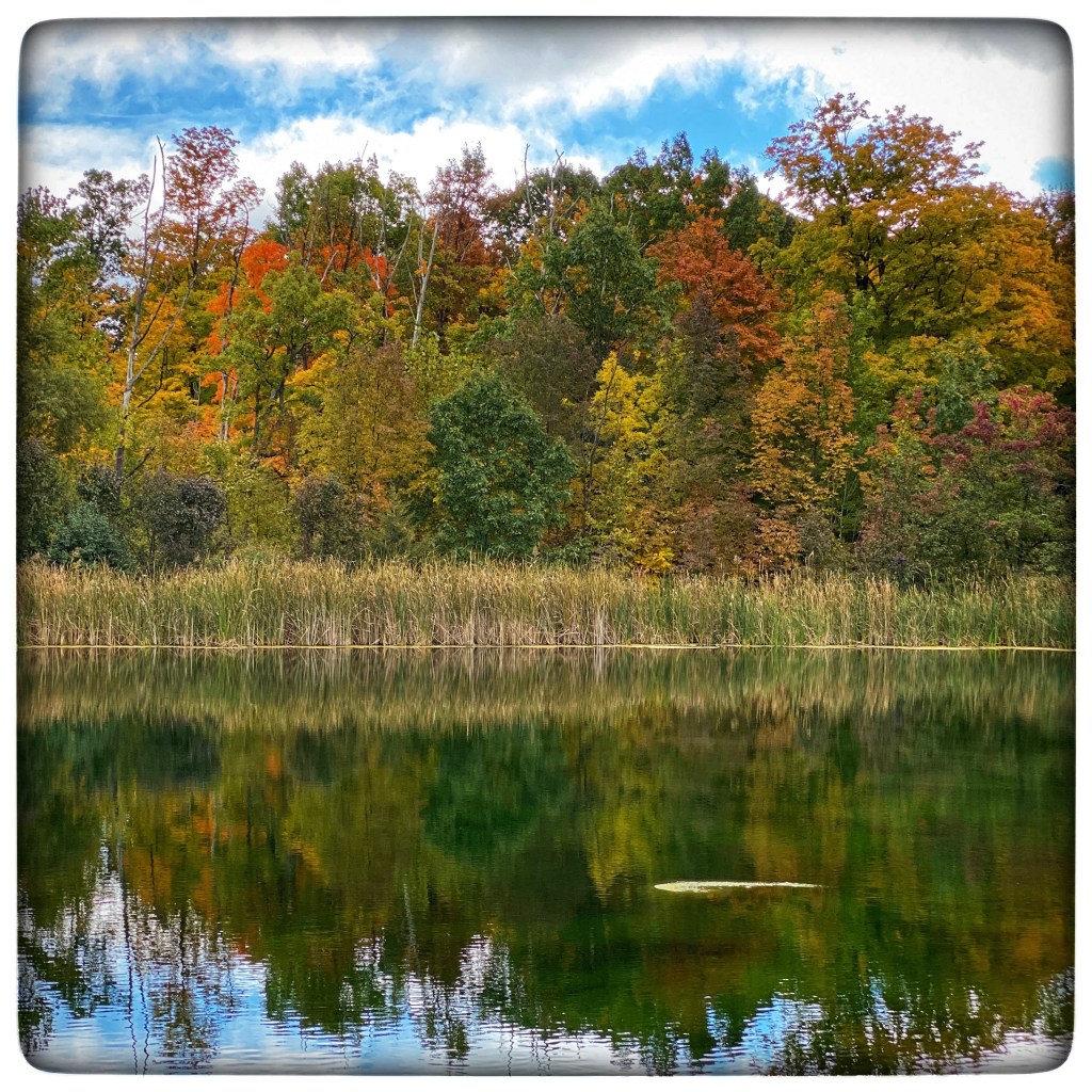 A Wonderful 47 Degree Fall&nbsp;Day