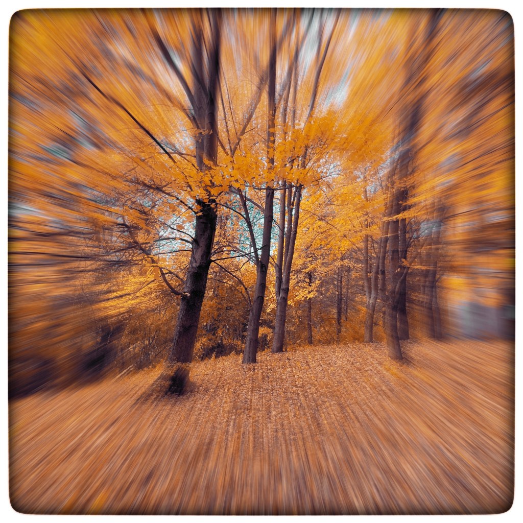 Fall Days And Good&nbsp;Books