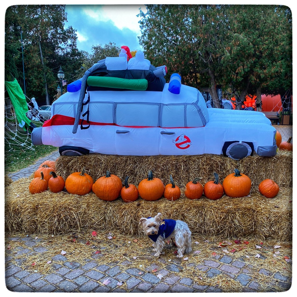 Fall Mornings And Good&nbsp;Music