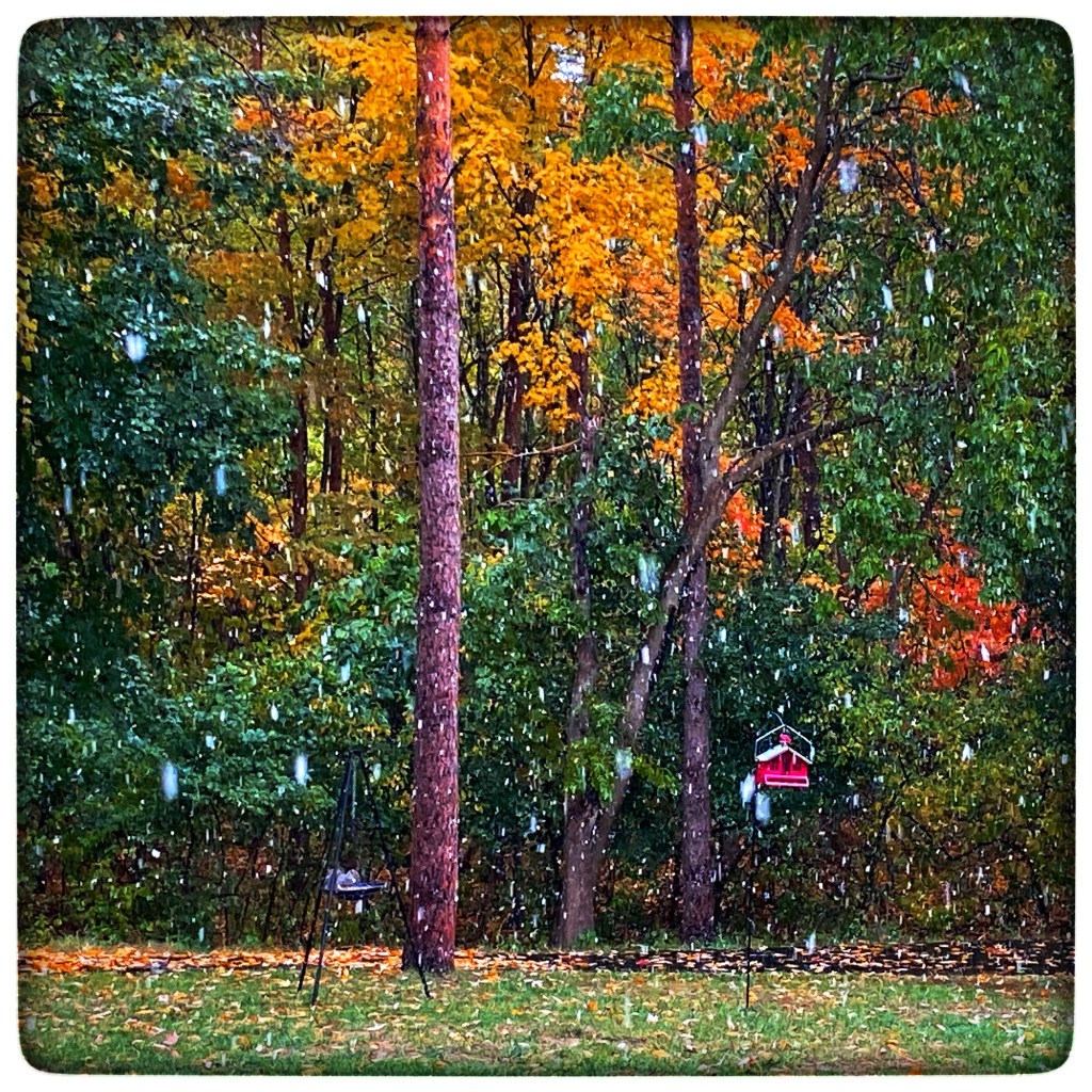 Favorites Of The&nbsp;Week