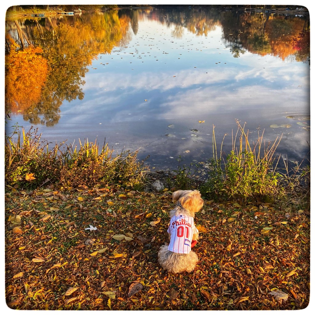 Fall Mornings And Fabulous&nbsp;Baseball