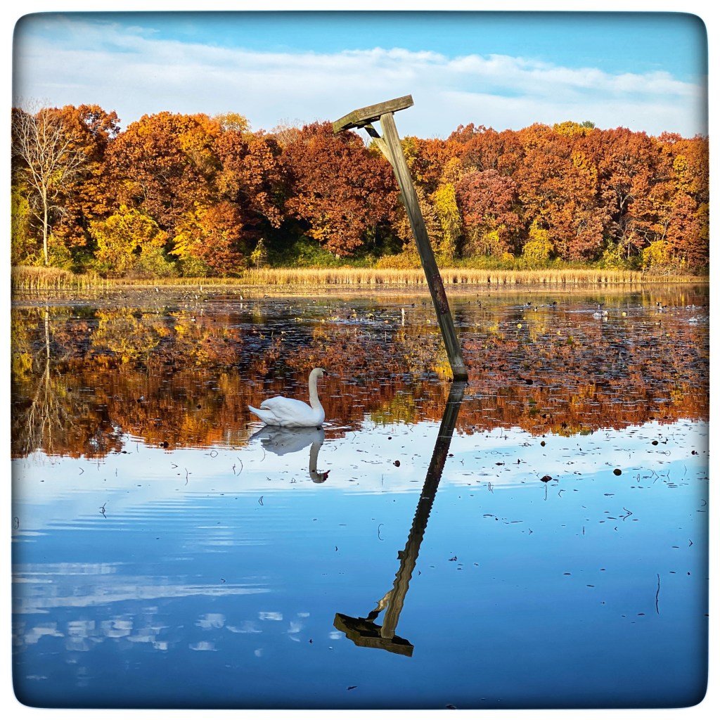 The Week In Seven Photos