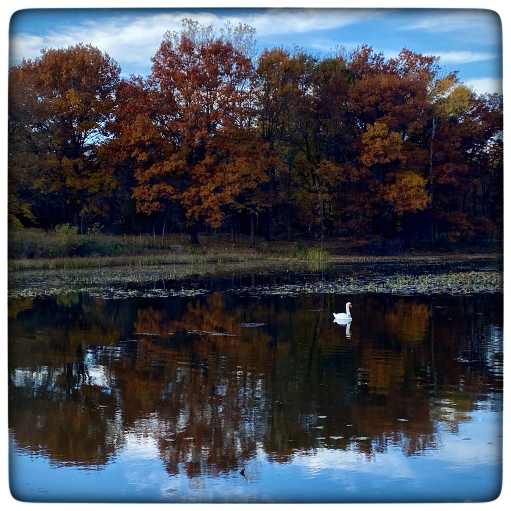 Remembering Warm Fall Mornings And Good&nbsp;Movies