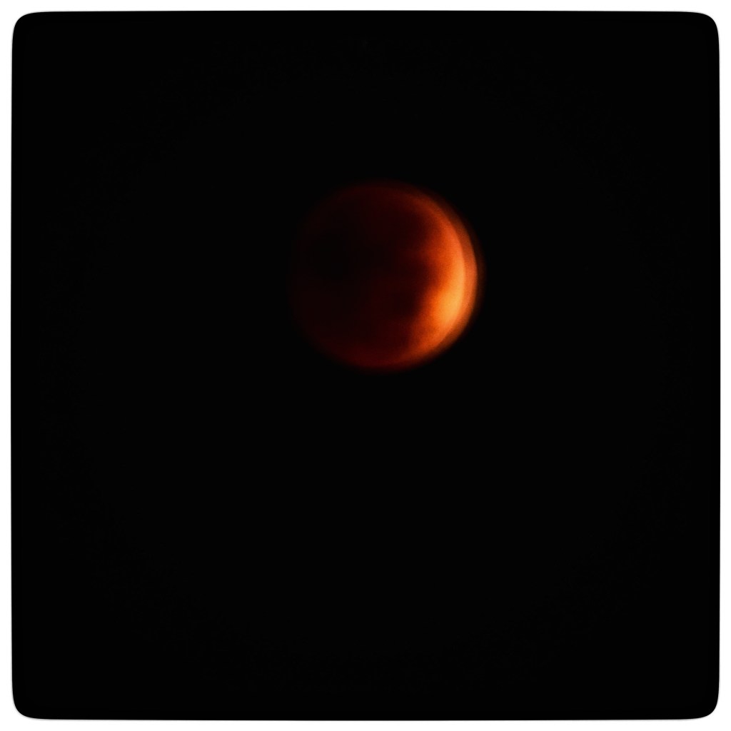 Favorites Of The&nbsp;Week