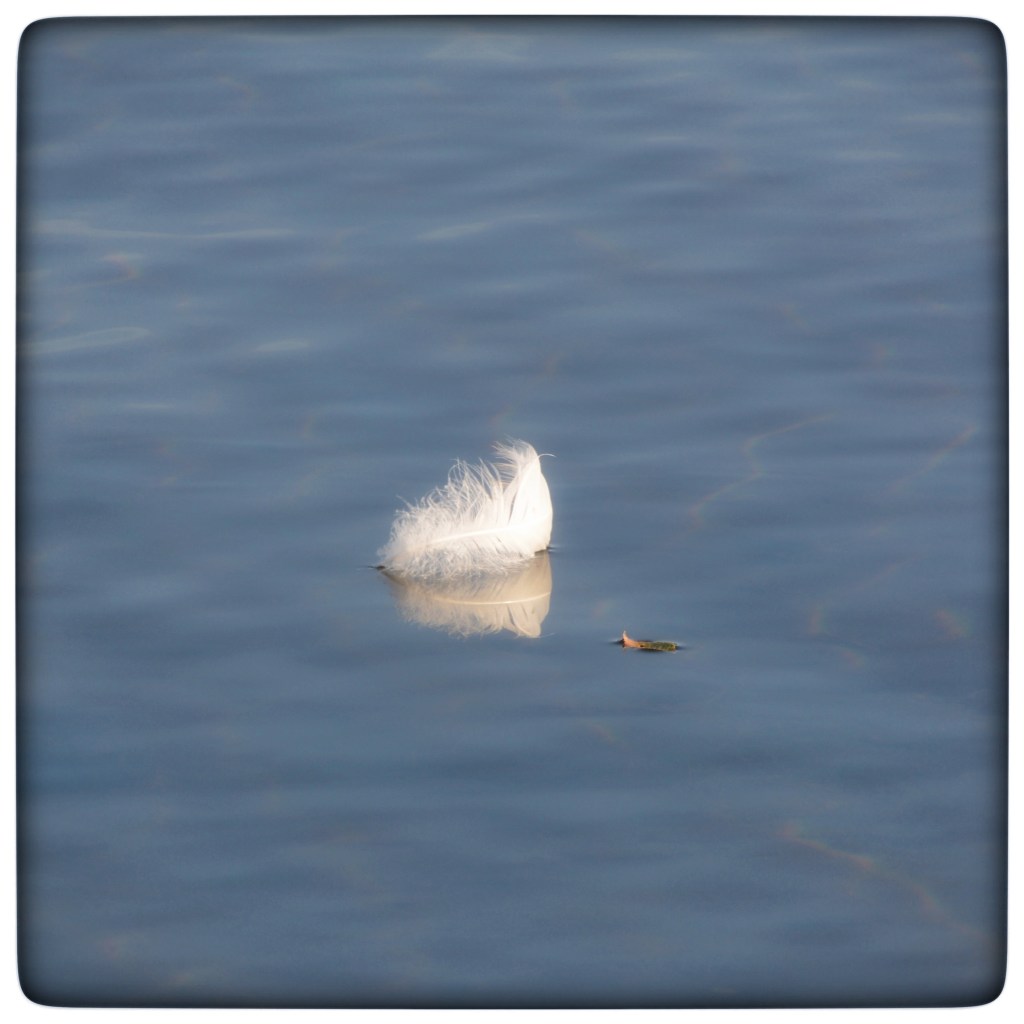 Fall Mornings And Good&nbsp;Music