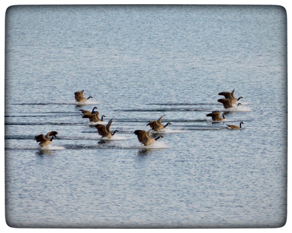 Winter Mornings And Good&nbsp;Movies