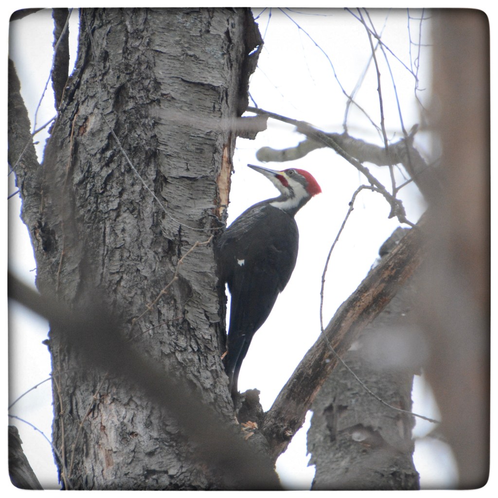 Winter Mornings And Good TV&nbsp;Shows