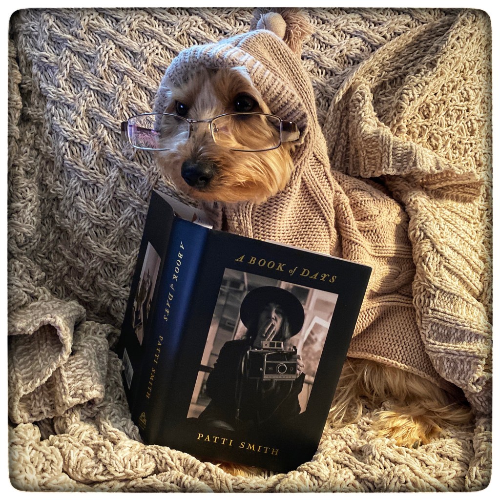 Winter Days And Good&nbsp;Books