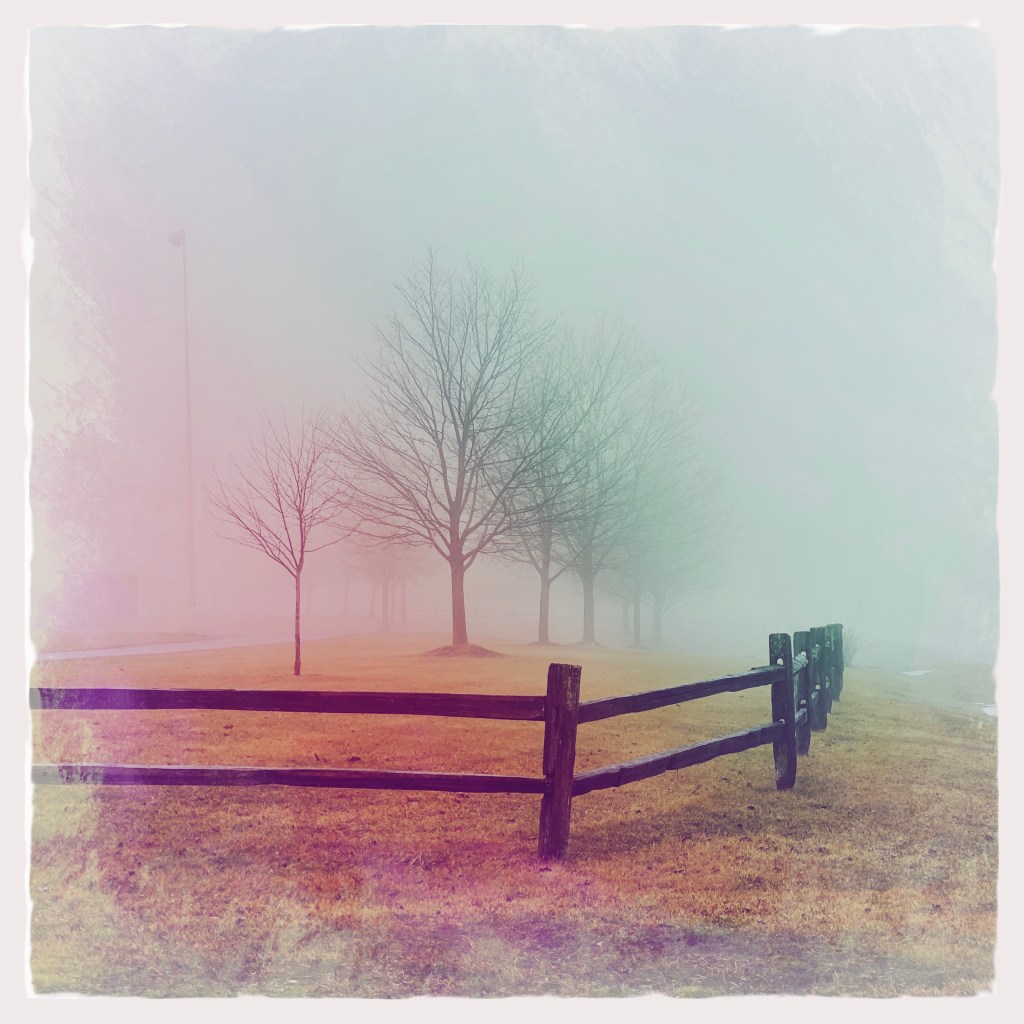 Winter Days And Good&nbsp;Movies