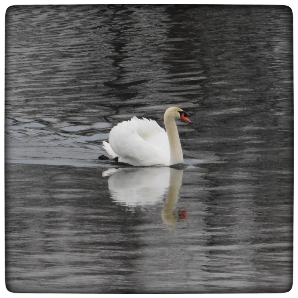 Winter Mornings And Good TV&nbsp;Shows