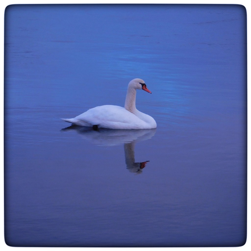 Winter Mornings And Good&nbsp;Music