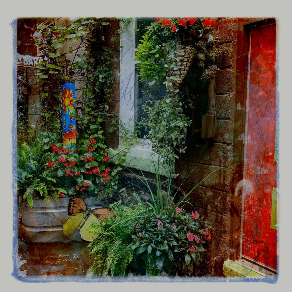 Looking Forward To Summer Mornings And Good&nbsp;Books