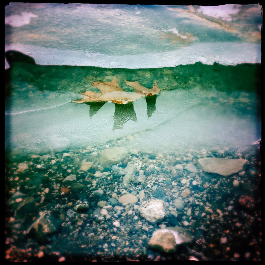 The Seasons Embrace Along The&nbsp;Shore