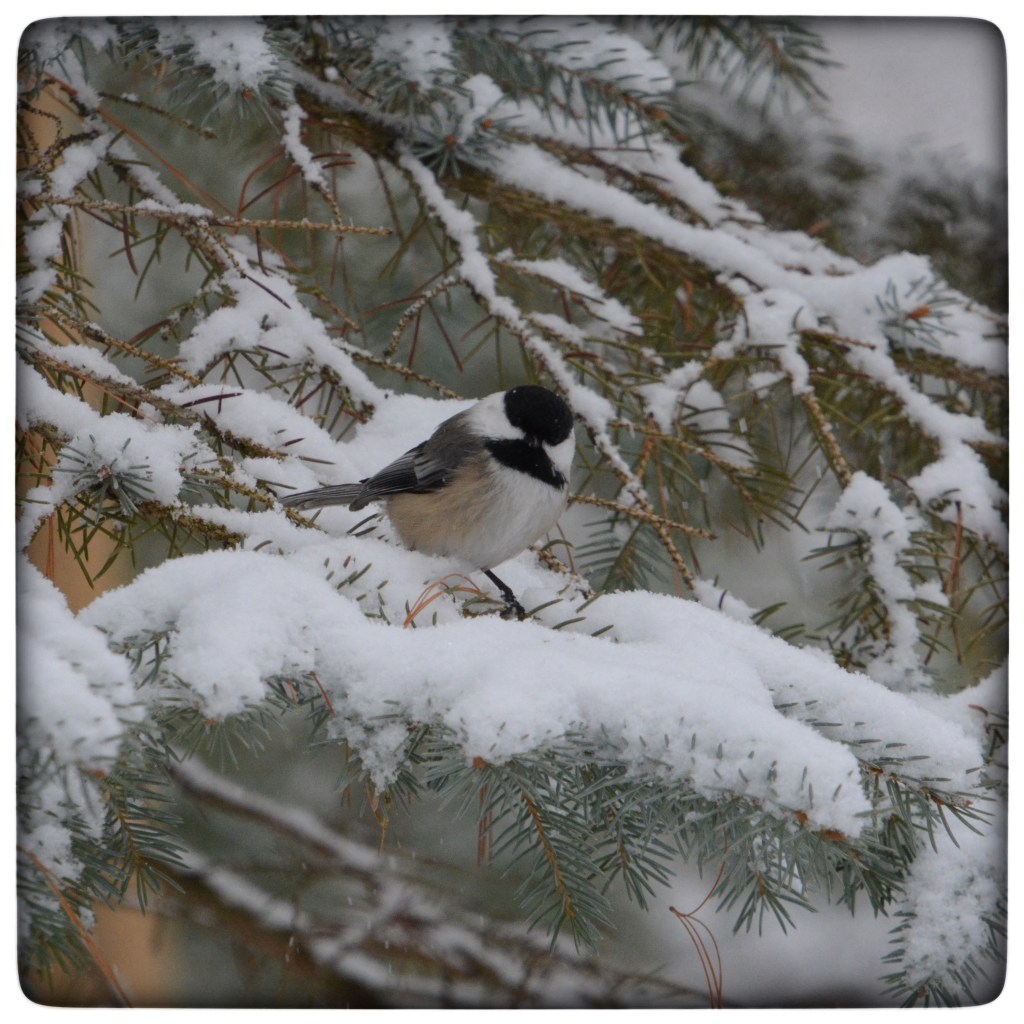 Winter Mornings And Good&nbsp;Music