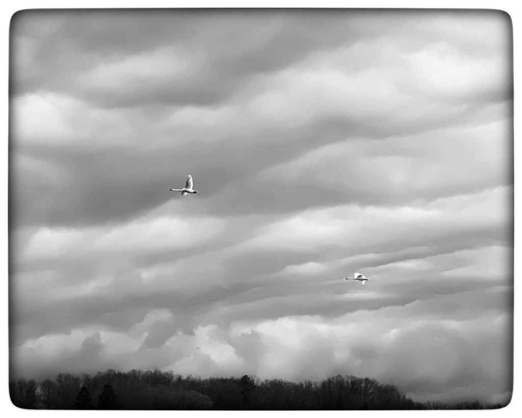 Winter Mornings And Good&nbsp;Music