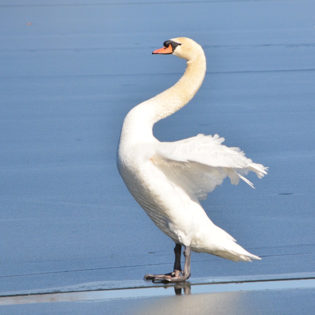 Winter Mornings And Good&nbsp;Music