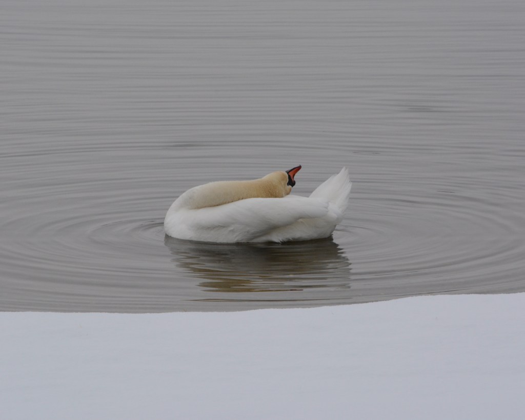 Winter Mornings And Good&nbsp;Music