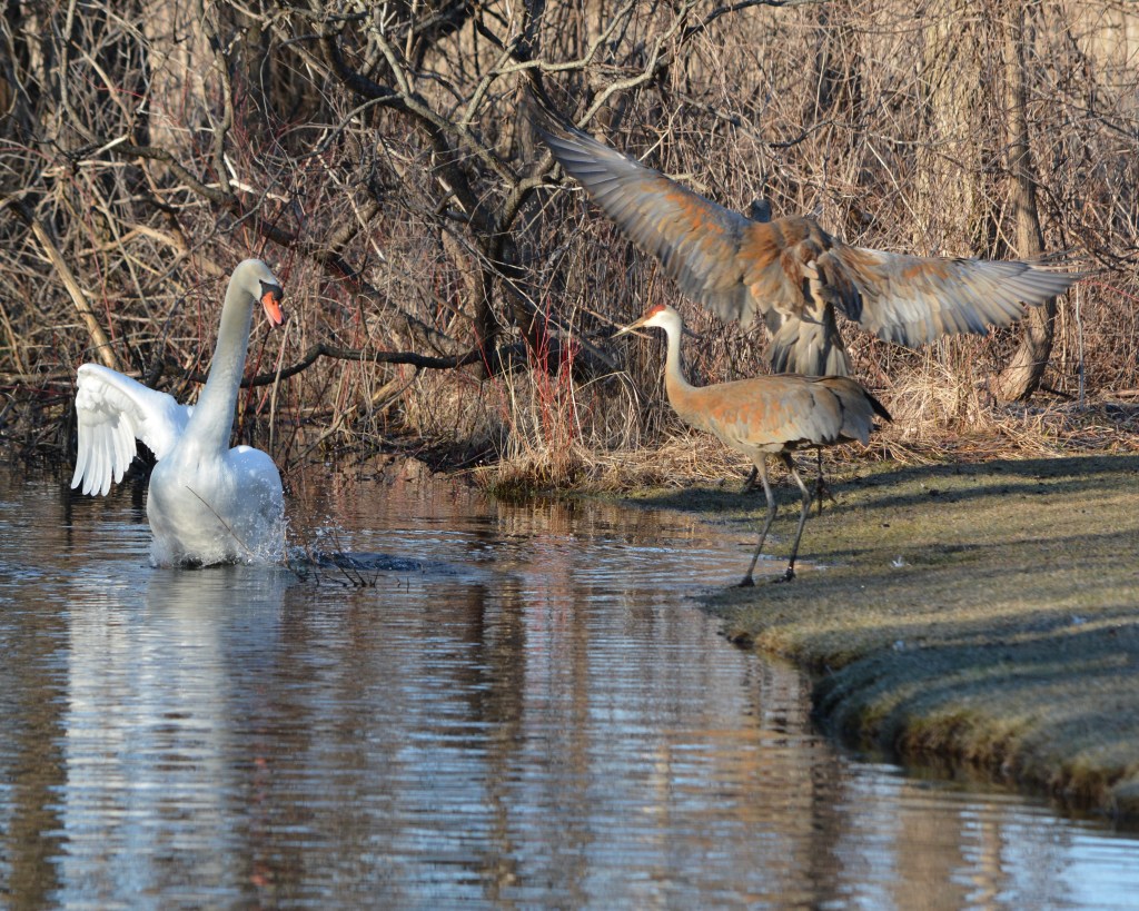 Exciting Spring Mornings And Good TV&nbsp;Shows