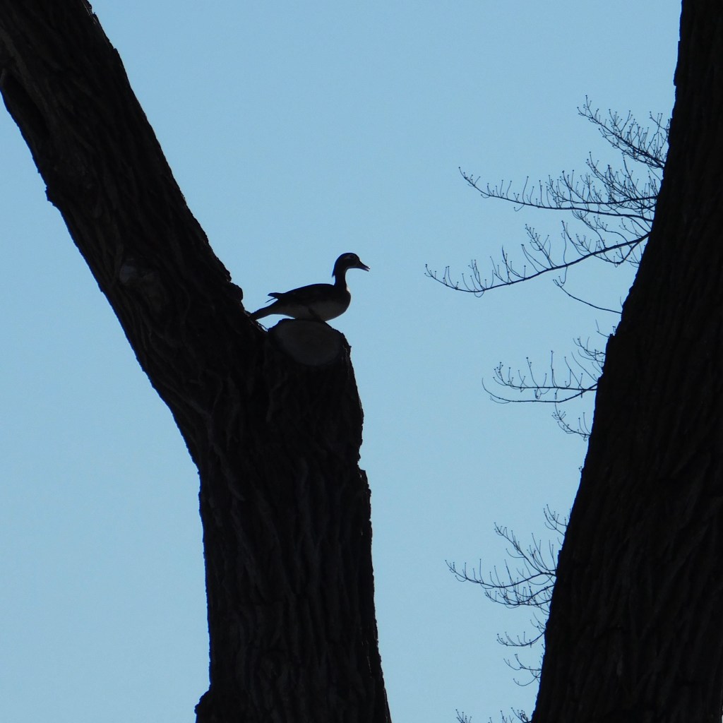 Spring Mornings And Good TV&nbsp;Shows